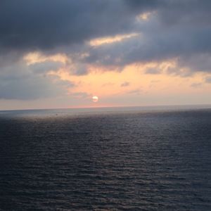 Meet your Posher, Blake